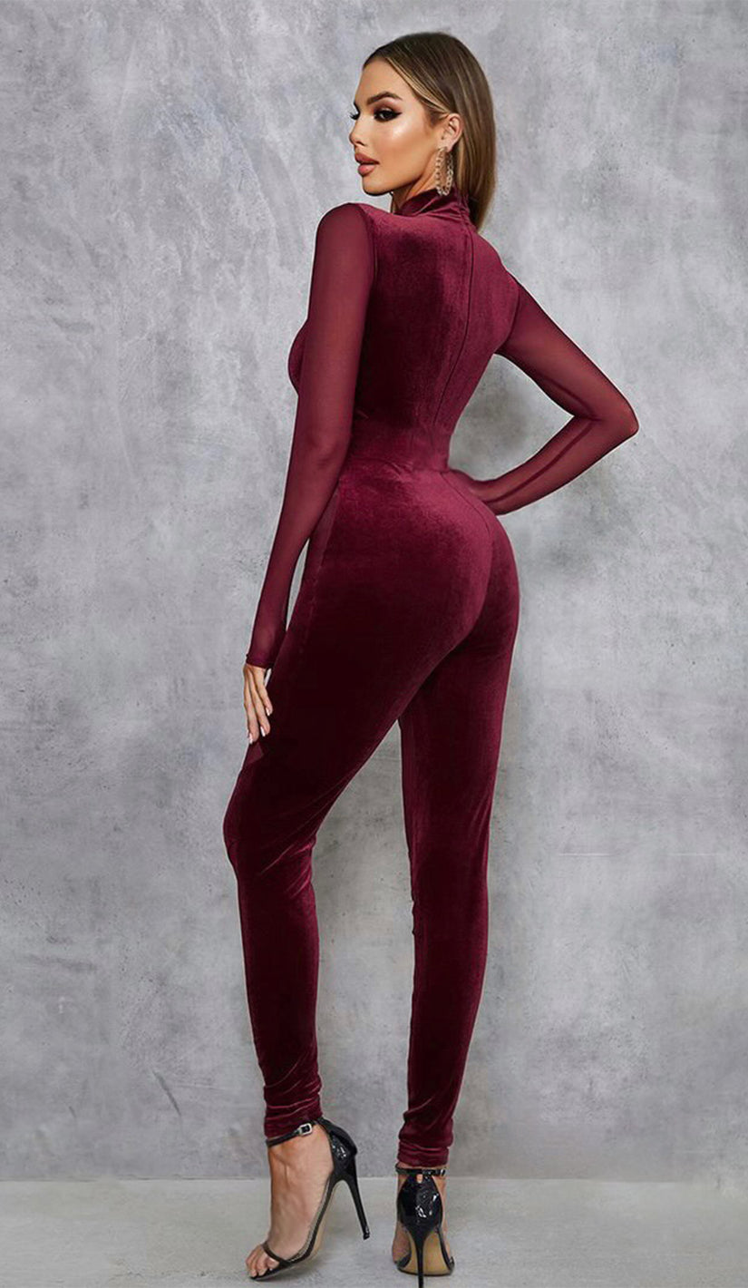 ROXANNE Velvet Mesh Jumpsuit