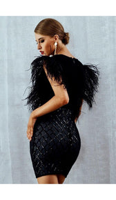 'MIA'  Sequin Feather Dress - GLAMBAE FASHION