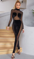 EVERLY Velvet Mesh Bodycon Jumpsuit