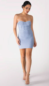 LAU Glitter Bustier Mini Dress